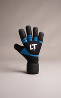 LT Control Home